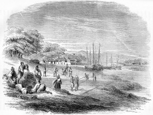 Salt drying field at Tomari. From: Hawks, Francis L.: Narrative of the Expedition of an American Squadron to the China Seas and Japan, performed in the years 1852, 1853, and 1854, under the command of Commodore M. C. Perry etc. 1857 (opposite page 362)