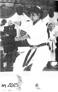 1994, Yokoyama Hisami wins gold at the 12th World Karate Championships (WKF). Since then, Chatan Yara spread to the world as in an explosion.